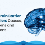 Blood Brain Barrier Disruption Causes, Symptoms, and Treatment